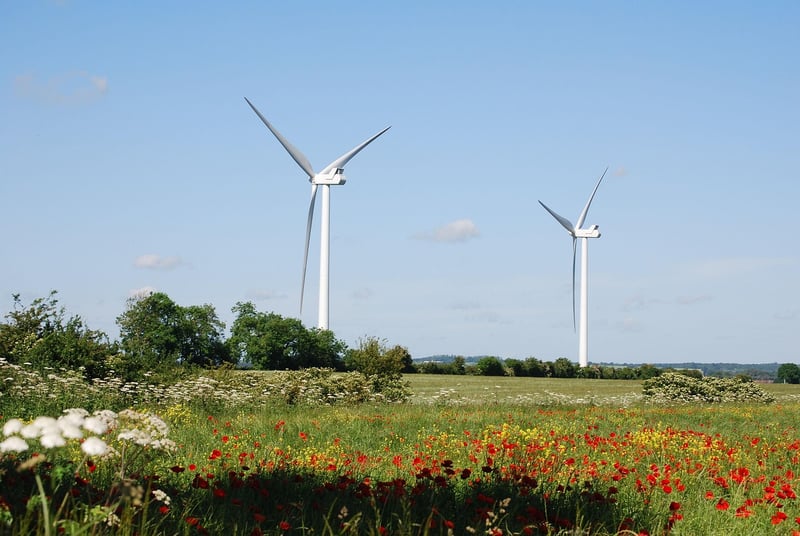 Environmentally friendly practices